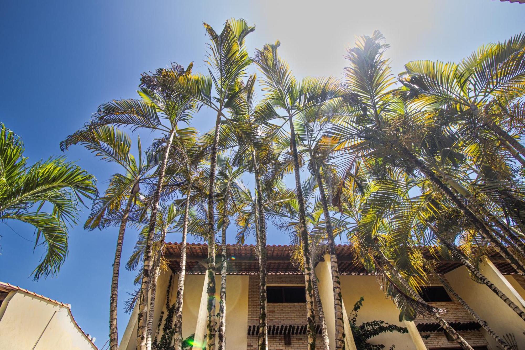 Condominio Solar Pipa - Apartamento Economico, Sem Varanda Praia de Pipa Exteriér fotografie
